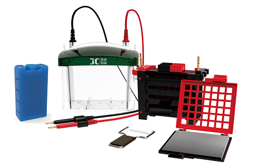 JC-ZY04型迷你轉移電泳槽